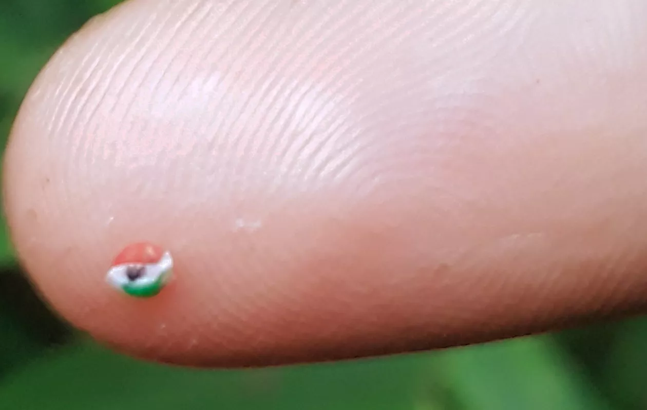 SMALLEST PAINTING OF INDIAN FLAG ON MUSTARD SEED (BROKEN)