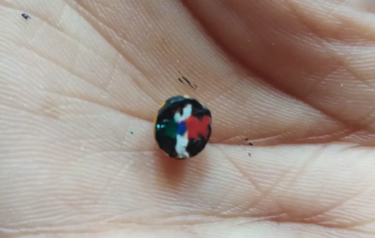 SMALLEST PAINTING ON PEA PULSE