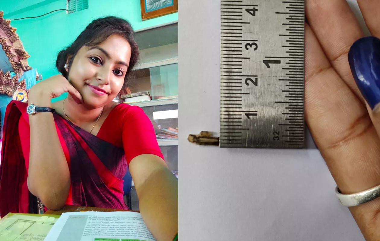 SMALLEST CRAFT DESIGN ON SUNFLOWER SEED