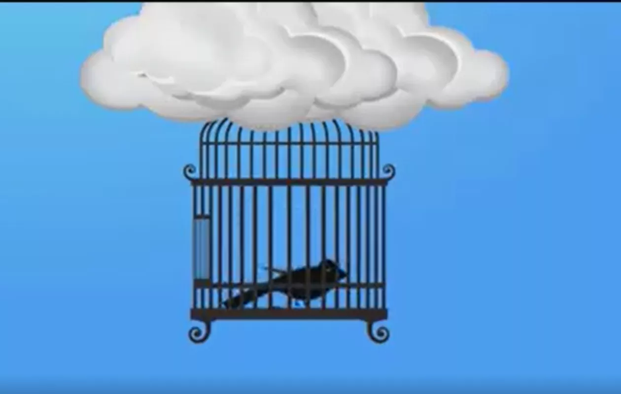 MAXIMUM CAGED BIRDS SET FREE