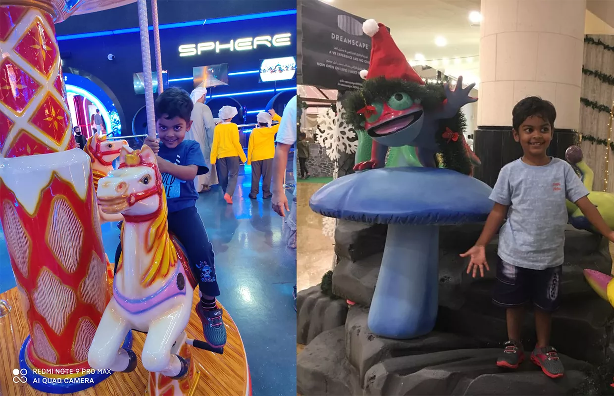 MAXIMUM ANIMALS IDENTIFIED ON SCREEN