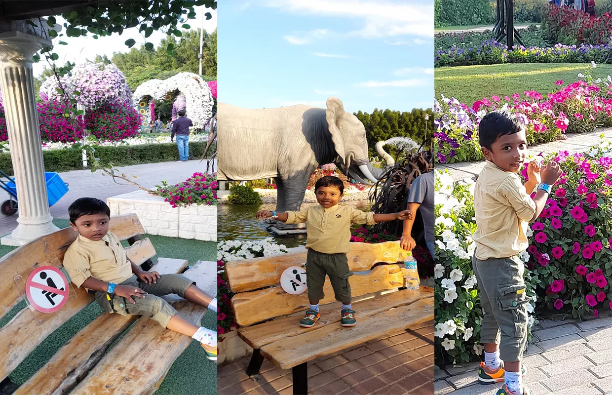 MOST NAMES OF BIRDS RECITED BY A KID