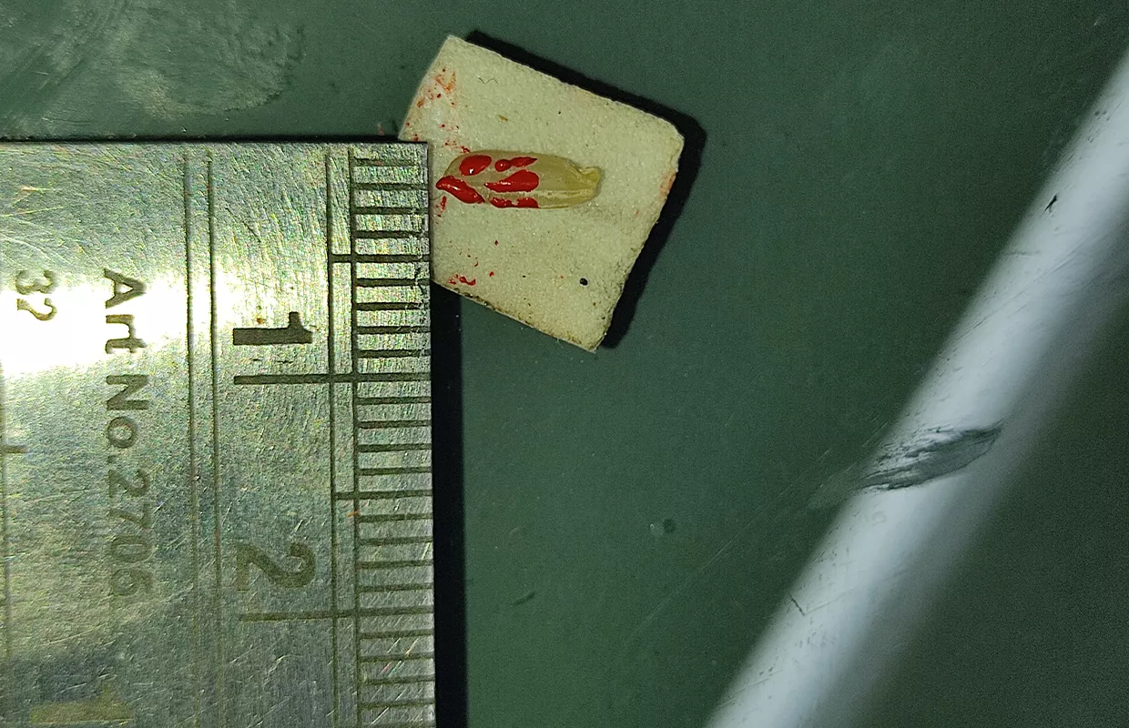 SMALLEST LORD GANESHA PAINTED WITH NEEDLE ON RICE GRAIN