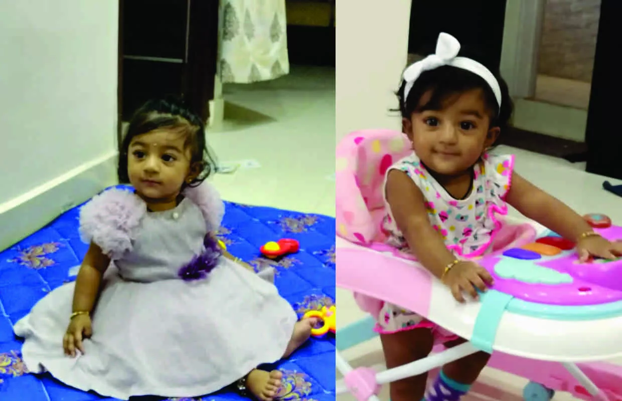 MAXIMUM ANIMALS IDENTIFIED ON FLASH CARDS