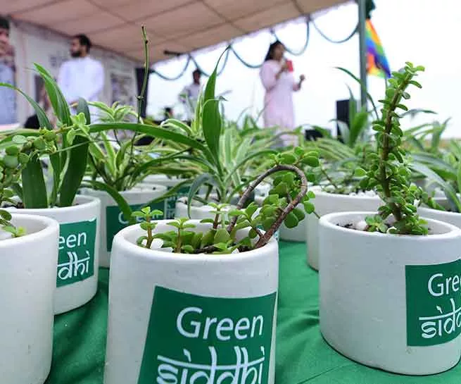 MOST TREES PLANTED IN 5 HOURS