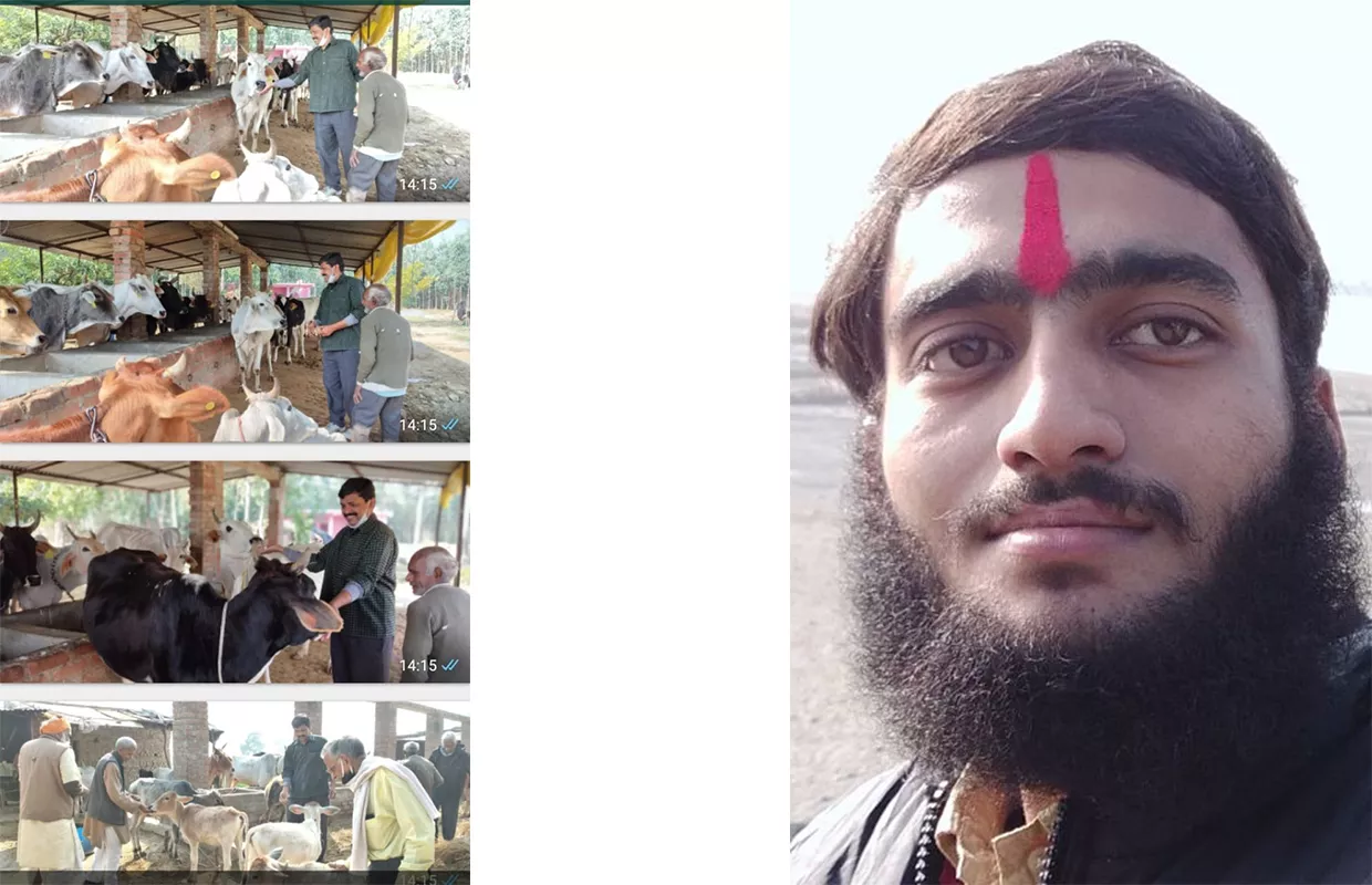 YOUNGEST TO RESCUE MOST COWS