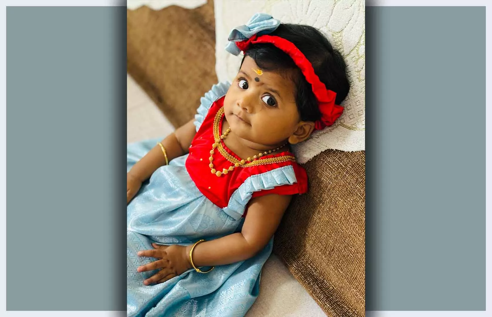 MAXIMUM WILD ANIMALS IDENTIFIED THROUGH FLASHCARDS (INFANT)