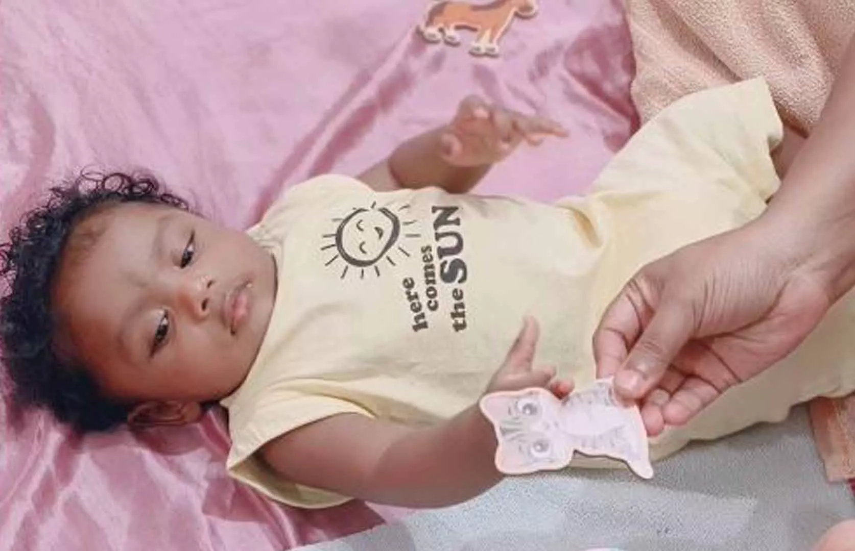 FASTEST IDENTIFICATION 10 DOMESTIC ANIMALS BY AN INFANT