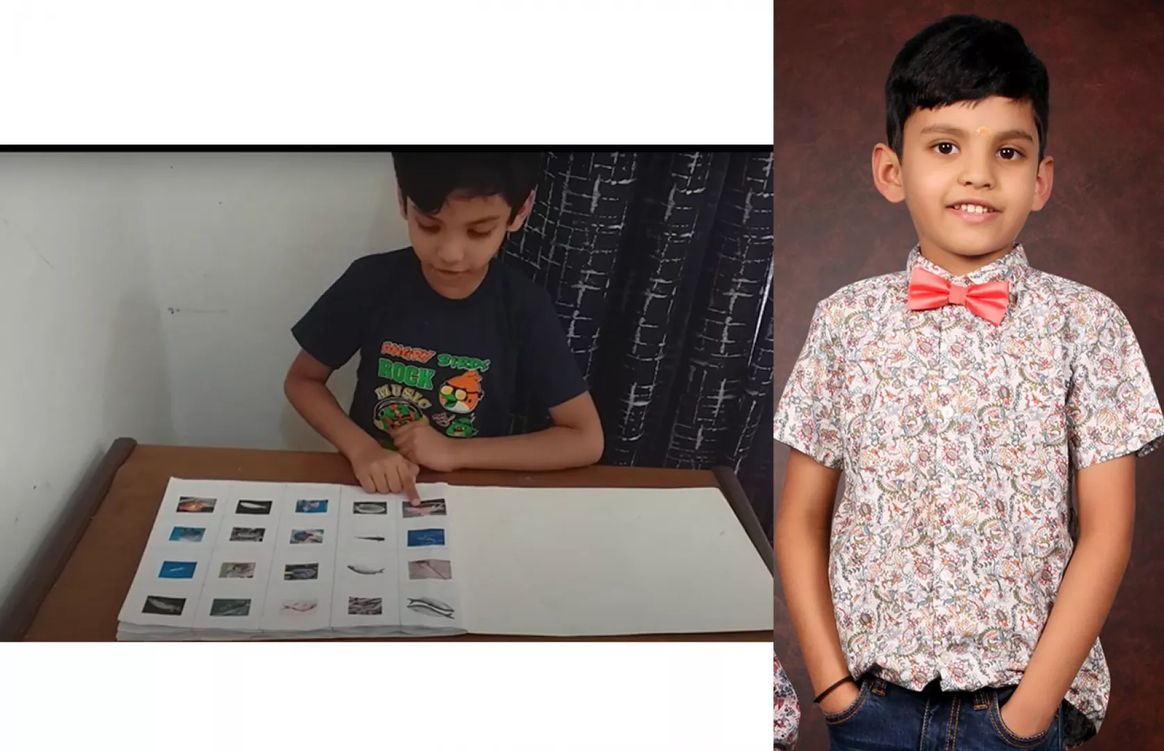 MAXIMUM SEA CREATURES IDENTIFIED AND RECITE BY A KID