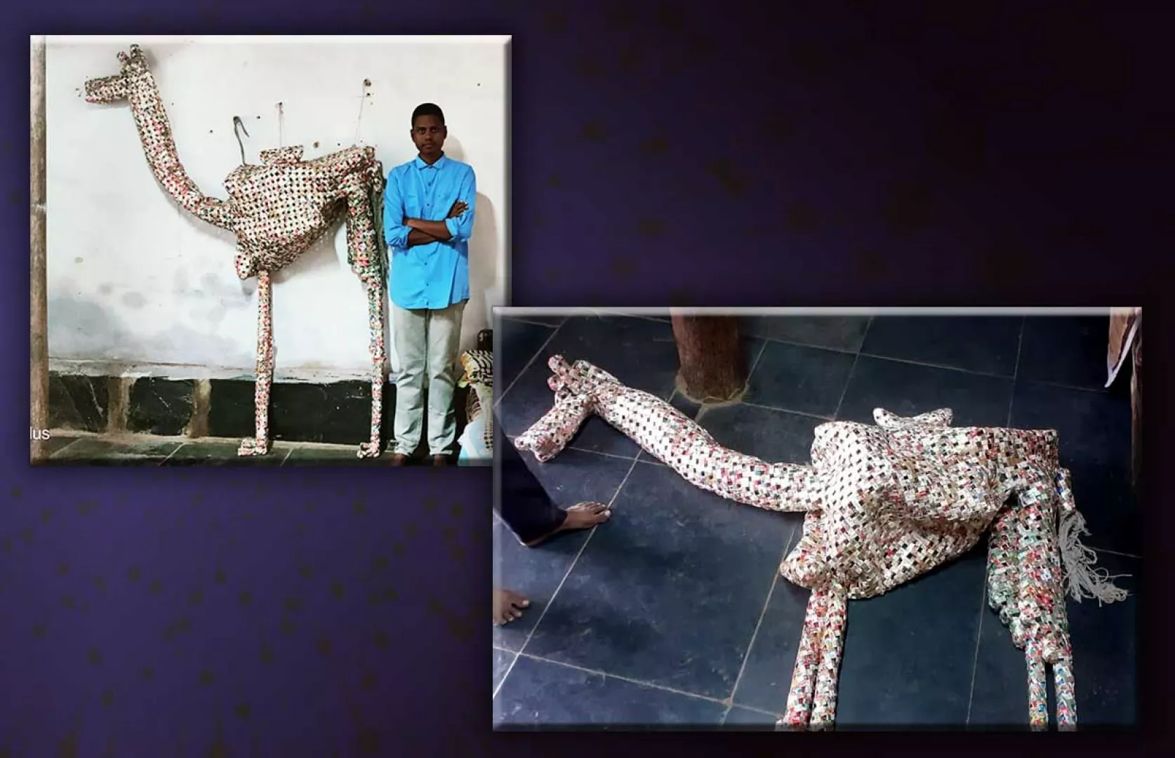 LARGEST CAMEL REPLICA MADE WITH MAXIMUM EMPTY CIGARETTE PACKETS
