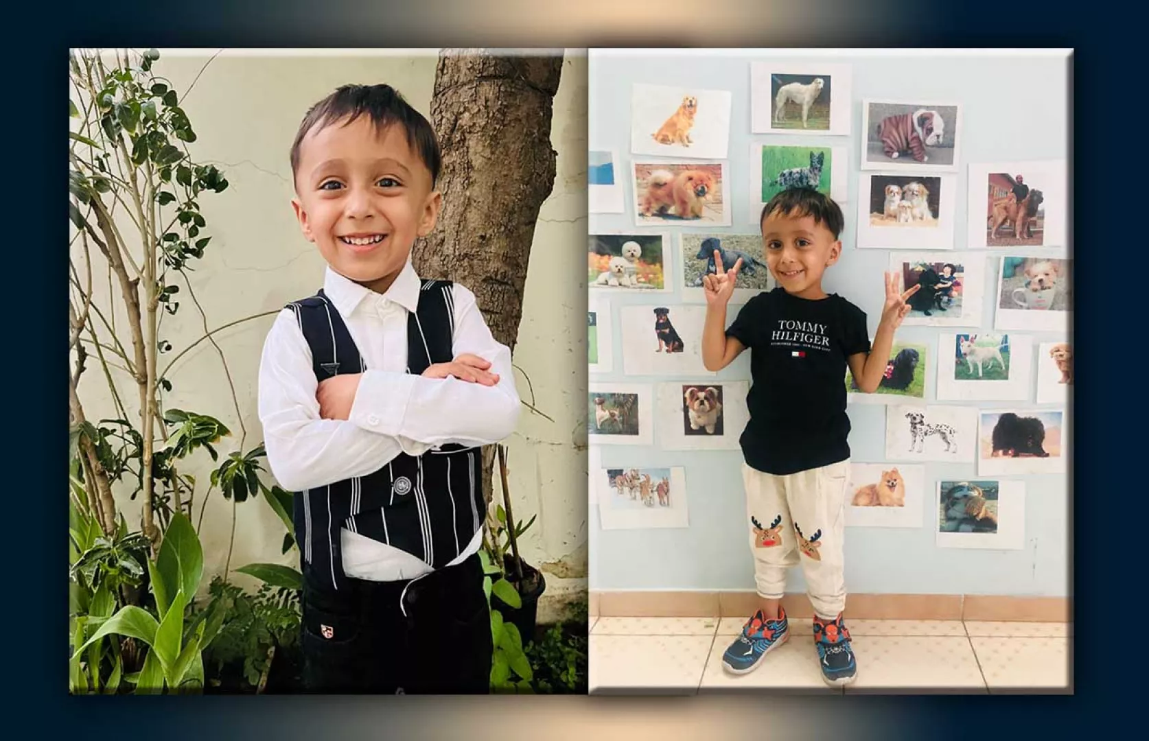 MOST NUMBER OF DOG BREEDS IDENTIFIED AND RECITED BY A KID