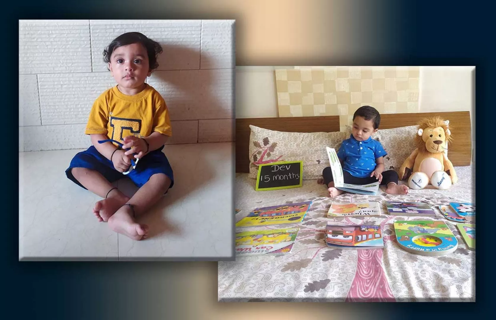 MAXIMUM BOOKS IDENTIFIED BY A TODDLER