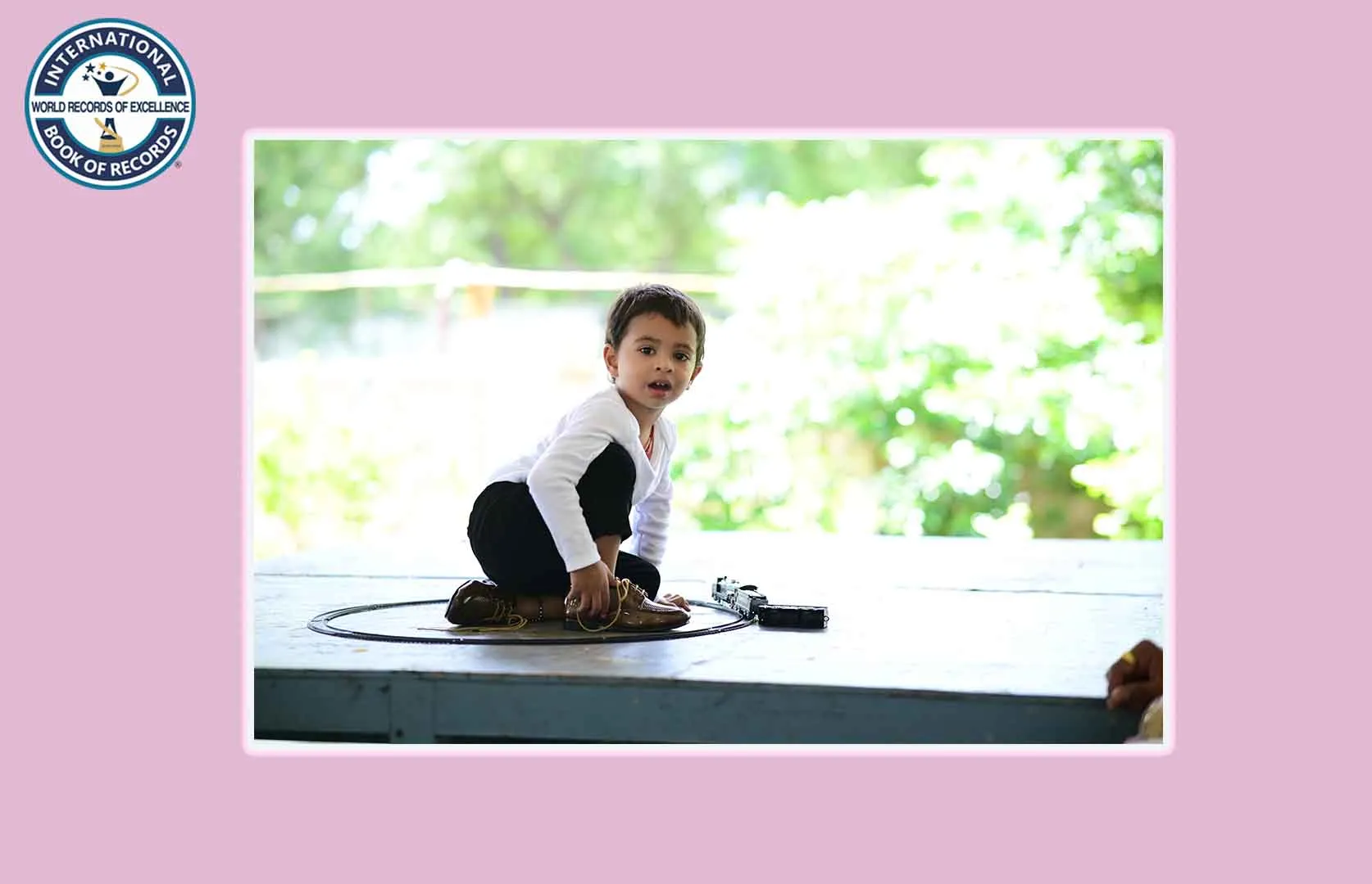 FASTEST TO IDENTIFY 50 INSECTS AND RECITE THEIR NAMES (PRESCHOOLER)